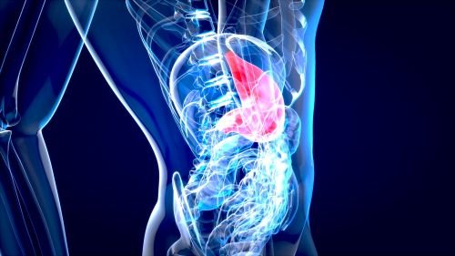 abstract-motion-design-stomach